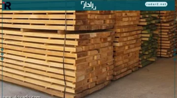 أسعار الخشب ومواد البناء في أسوان تتسم بالاستقرار اليوم السبت 25 أكتوبر 2025